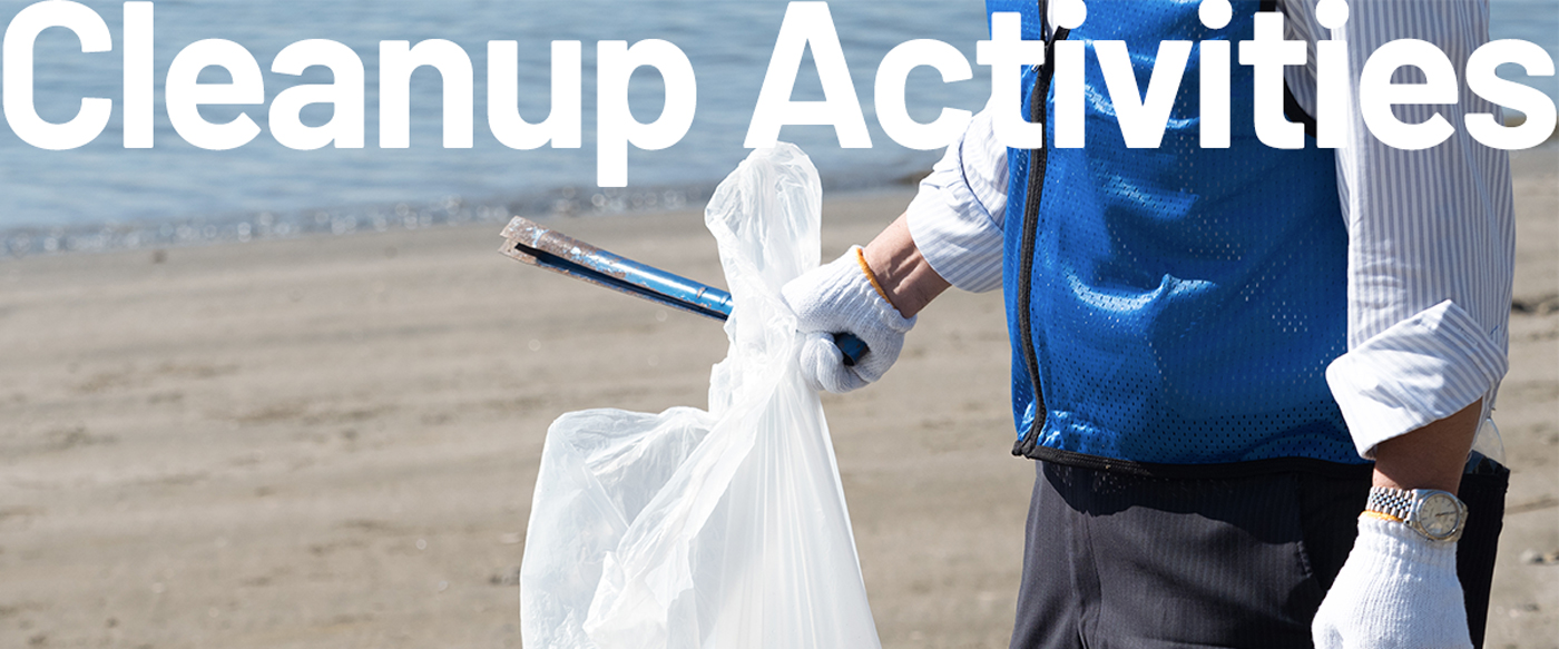 Cleanup Activities